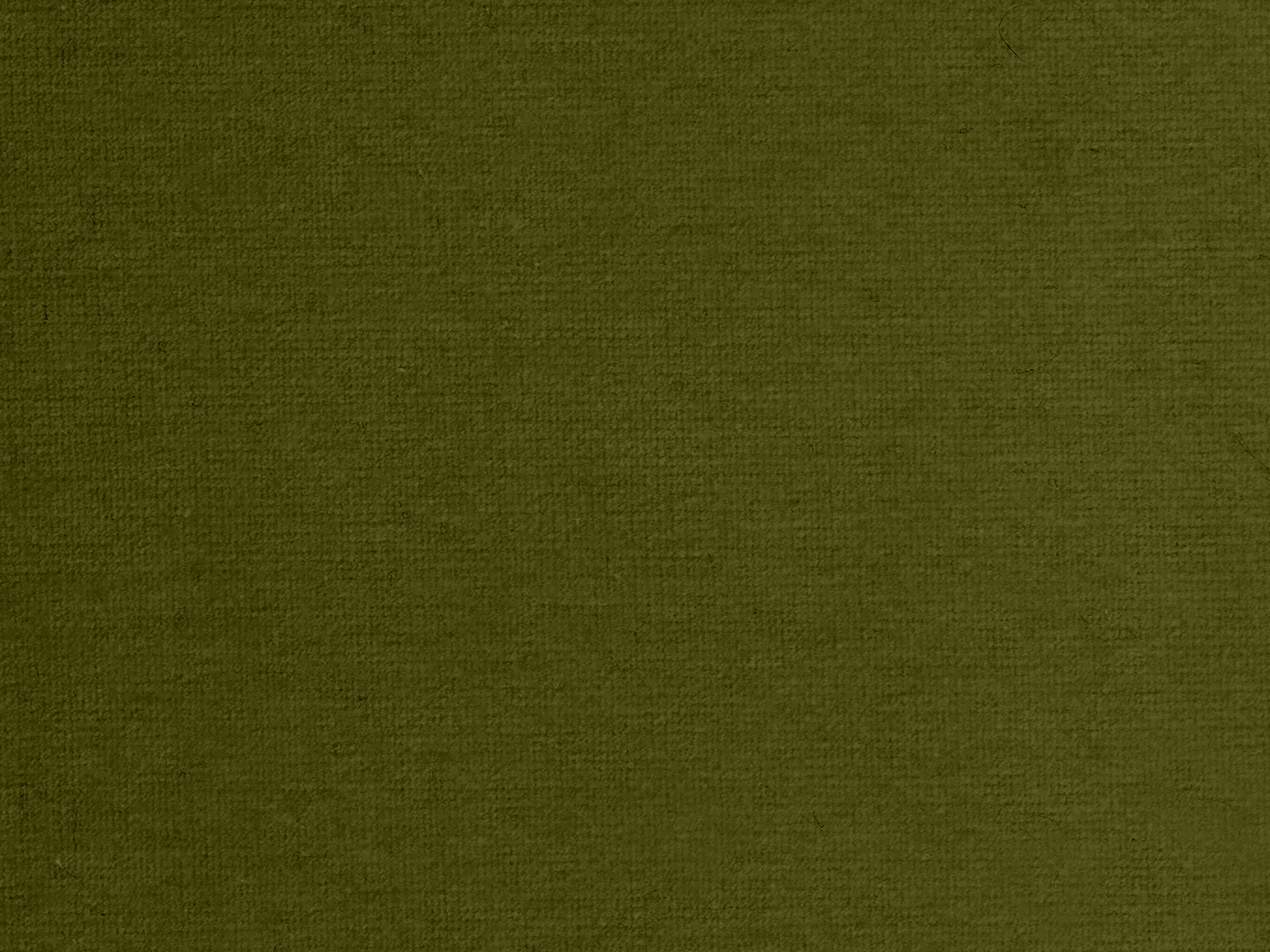 zoom colori RIVE GAUCHE olive, vert